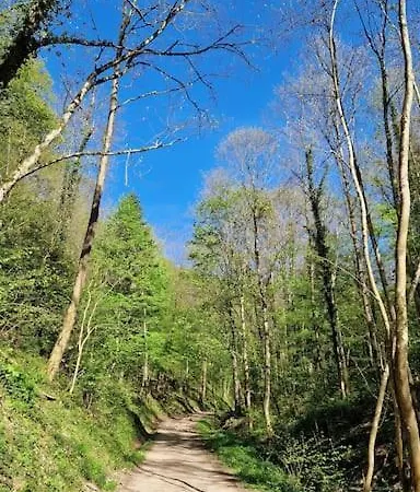 Le Petit Vadrouilleur Lägenhet *