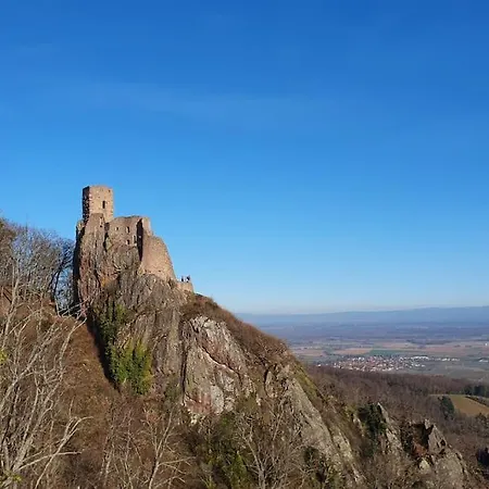 Le Petit Vadrouilleur * Ribeauvillé